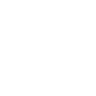 Google Business Icon